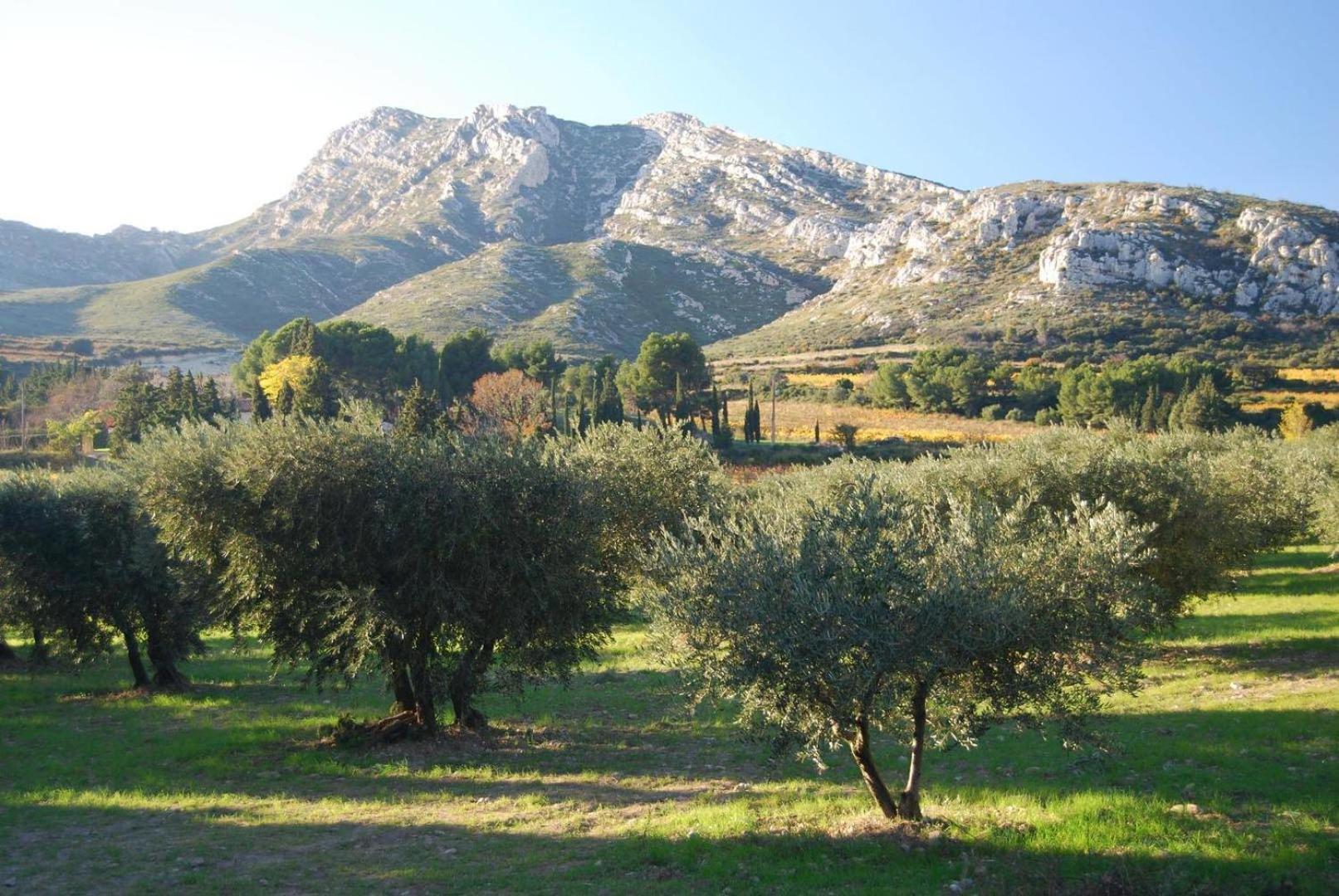 Sous Le Soleil Des Alpilles Διαμέρισμα Mouries Εξωτερικό φωτογραφία