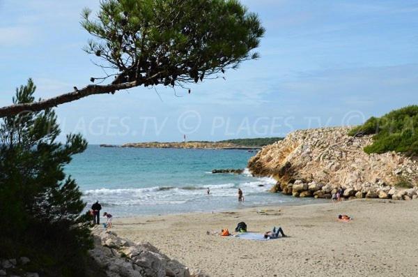 Sous Le Soleil Des Alpilles Διαμέρισμα Mouries Εξωτερικό φωτογραφία